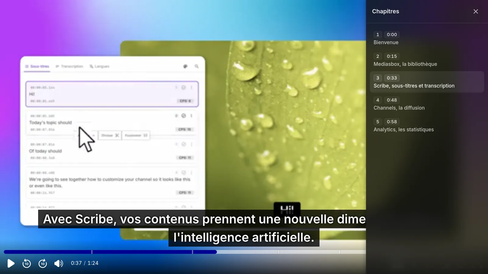 La liste des chapitres de la vidéo, chacun nommé et daté