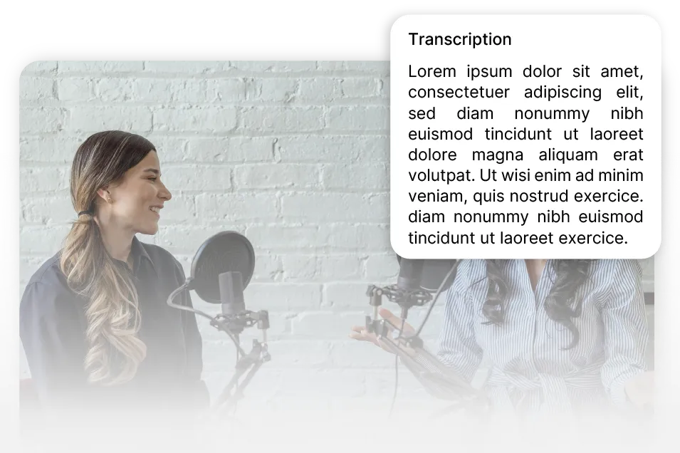 Transcription of meetings and interviews