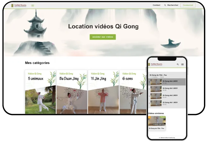 plateforme VOD d'Institut Huaxia