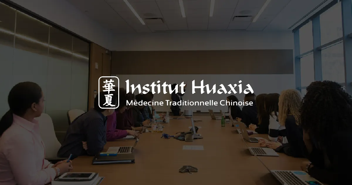 Institut Huaxia