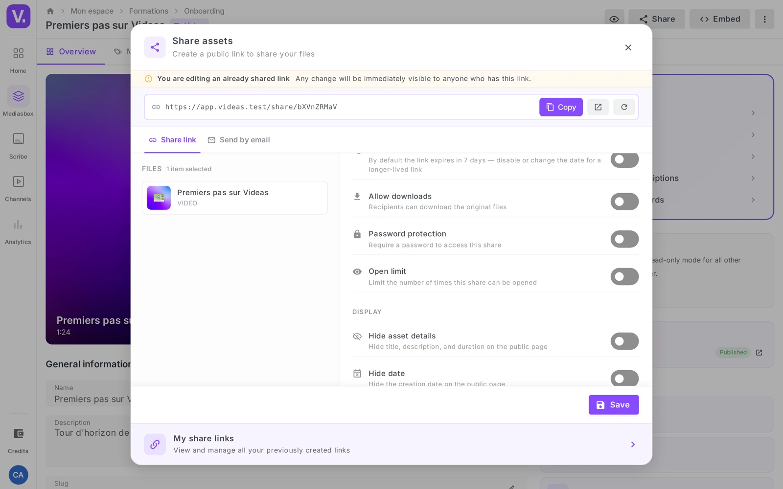 the Password protection toggle switched on and its input field in the Share window