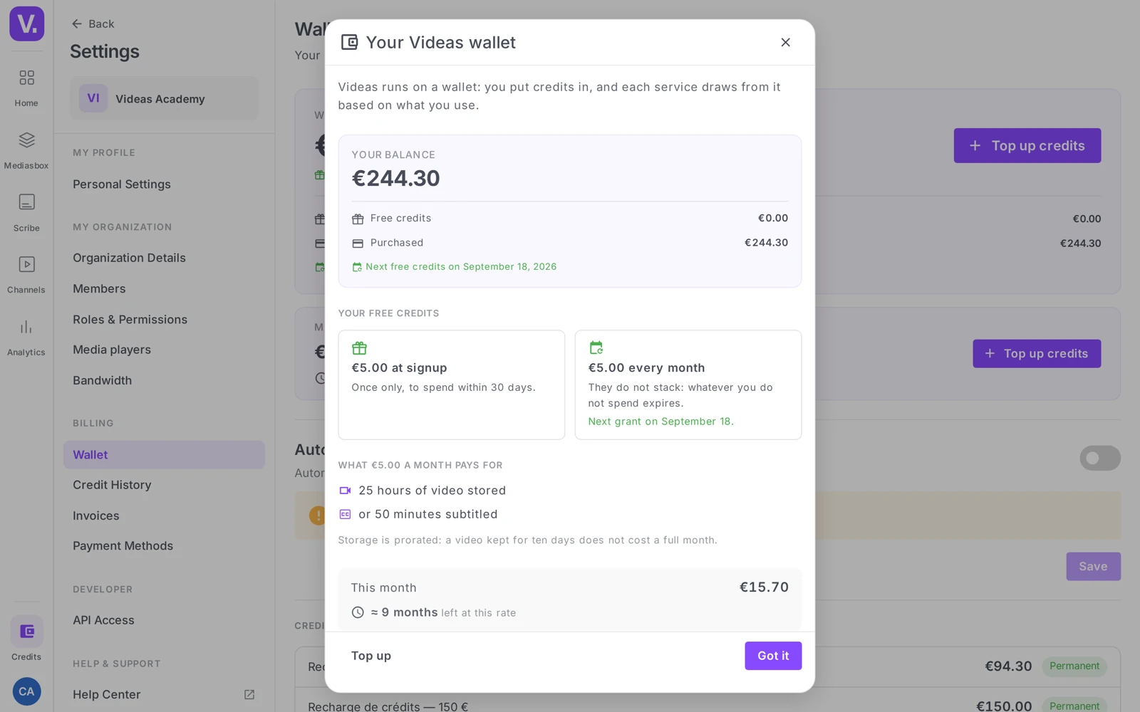 the Wallet page with the balance card, the Top up credits button and auto top-up