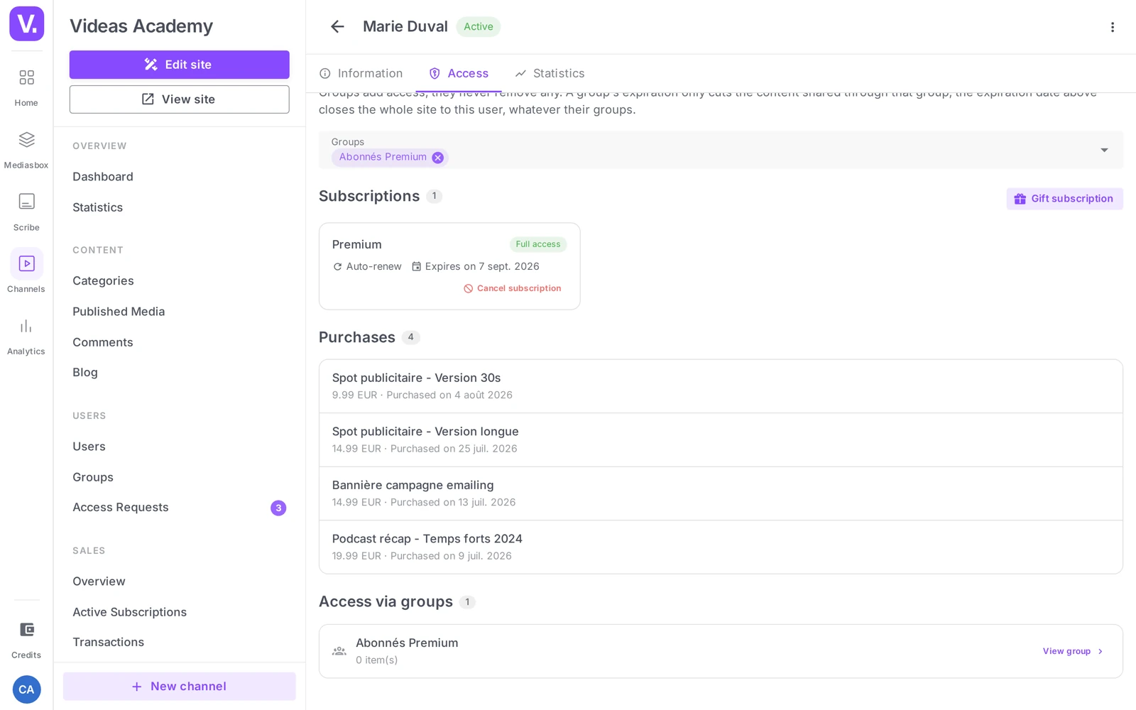 the Access tab of a customer summarizing subscriptions, purchases and rentals