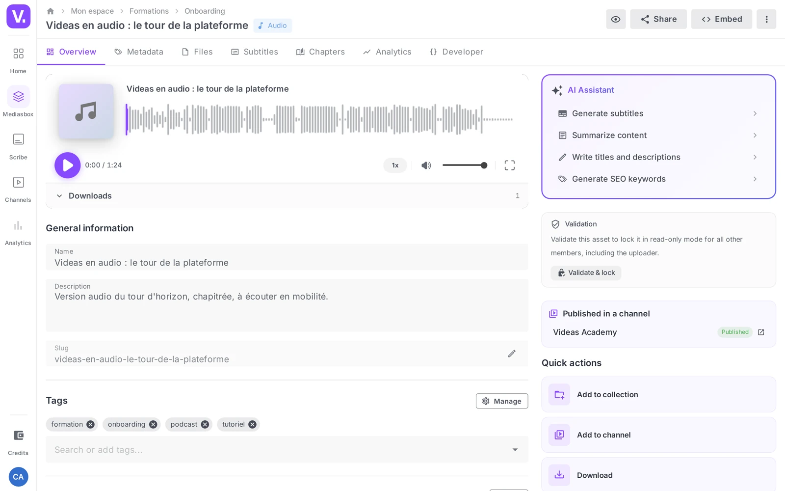 the detail page of an audio file, Overview tab, with the player and its waveform