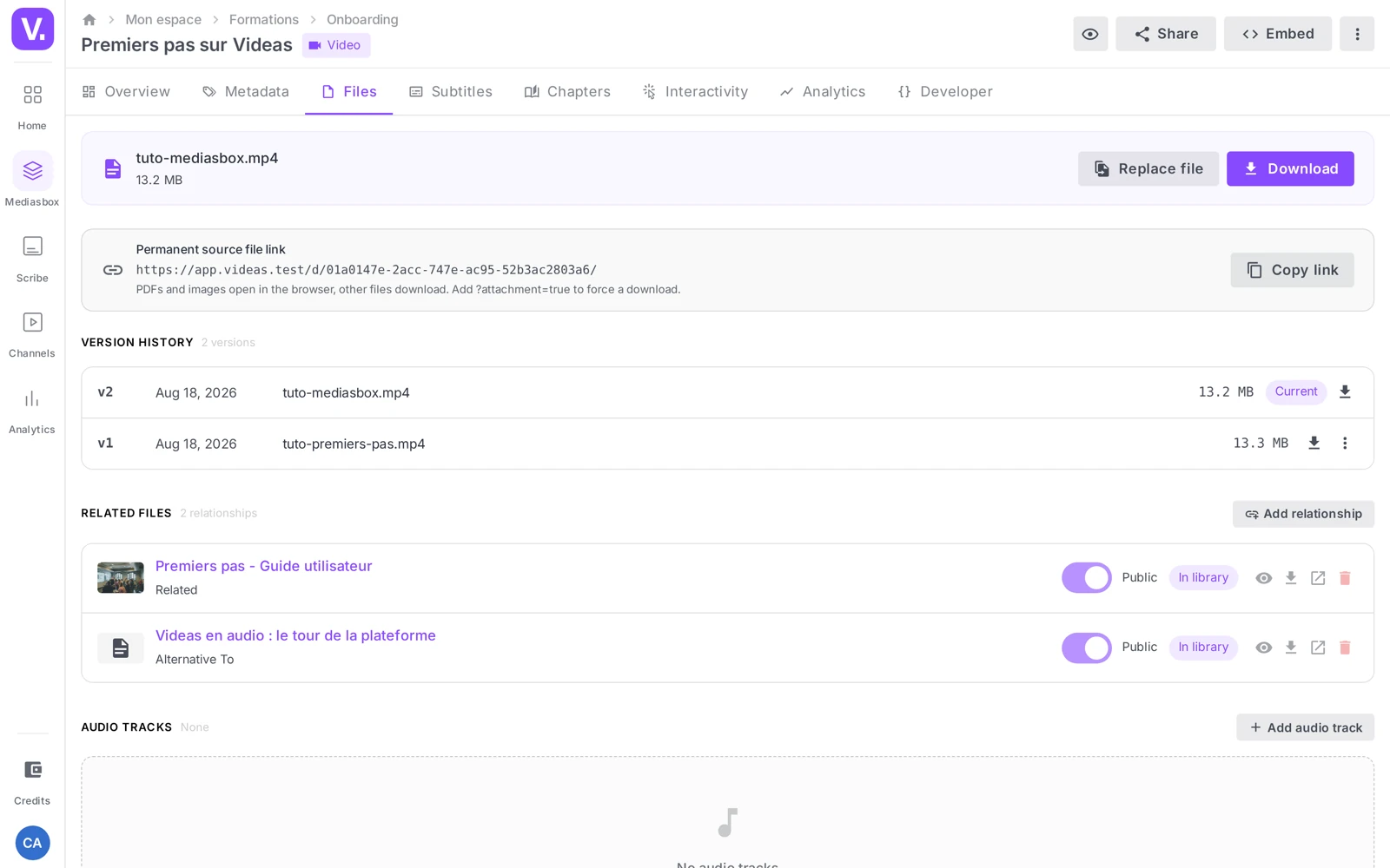 the Files tab with the “Replace file” button and the version history below it