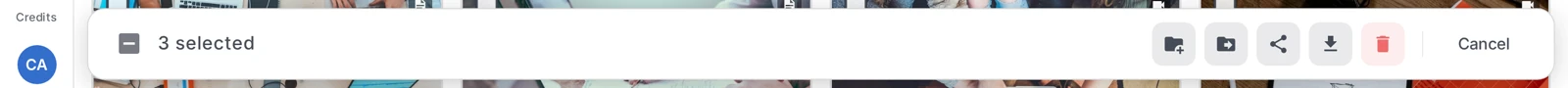 the bulk action bar with the Share button, after selecting several thumbnails
