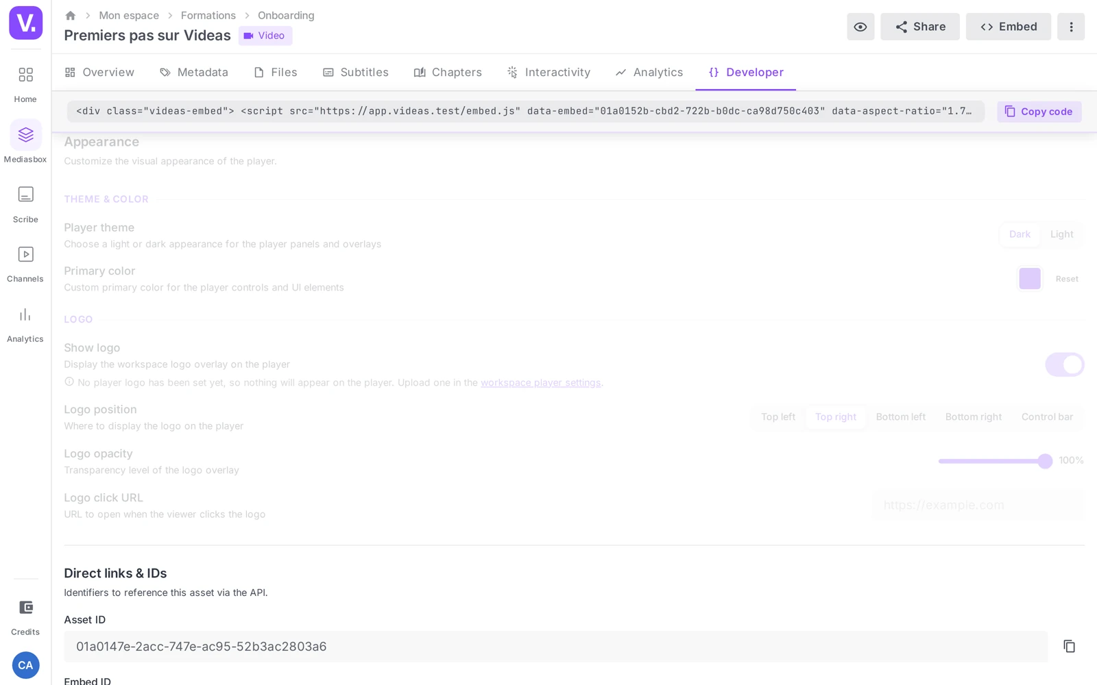 the Appearance section of the Developer tab: the theme selector, the Primary color and the Logo block