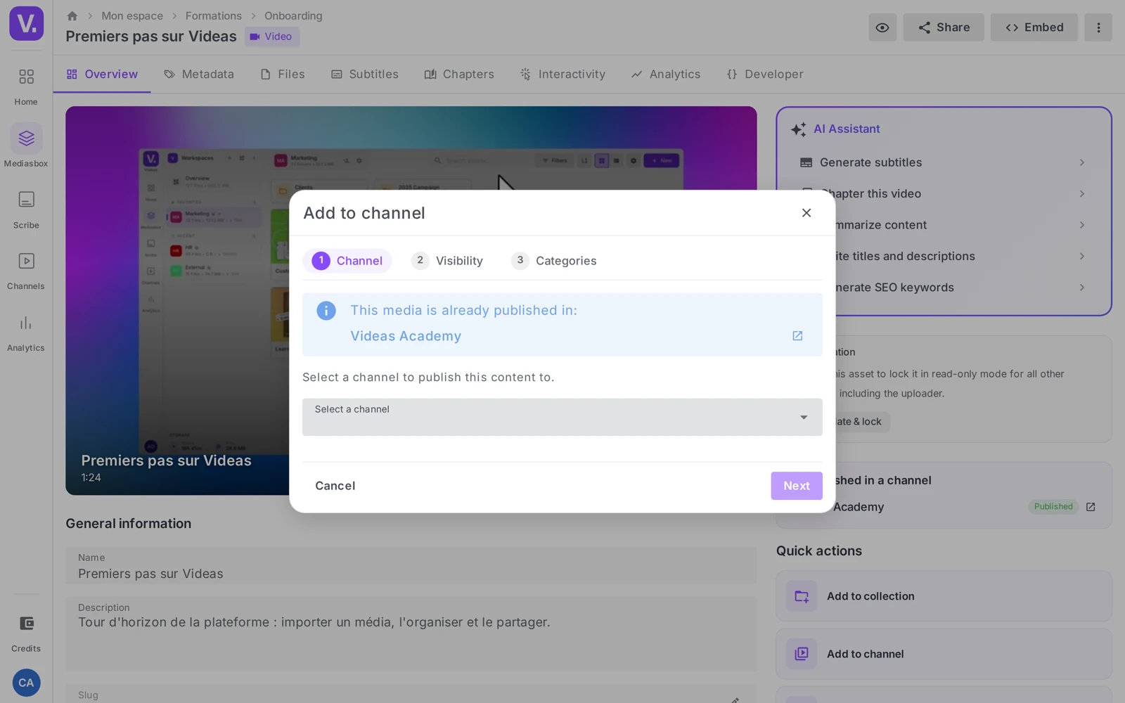 the “Add to a channel” window with the Channel / Visibility / Categories steps