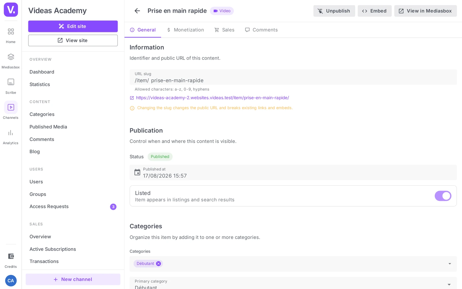 the Access section on an item’s page (level selector + descriptions)