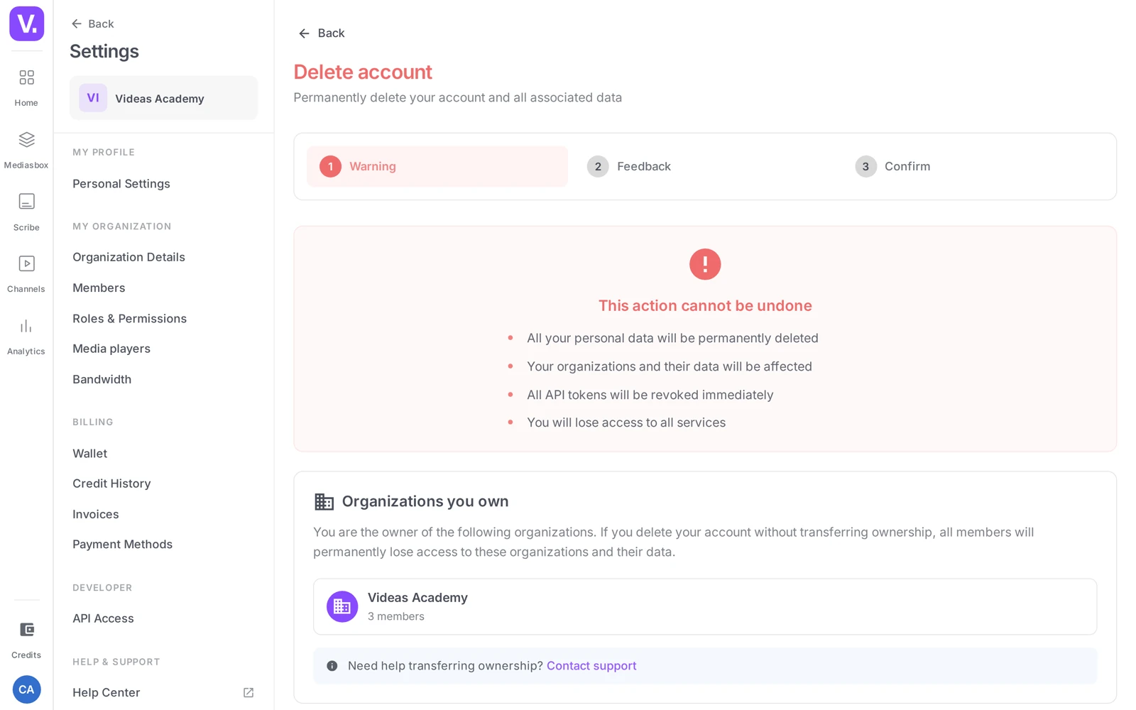 the Warning step: what deletion entails, and the organizations you own